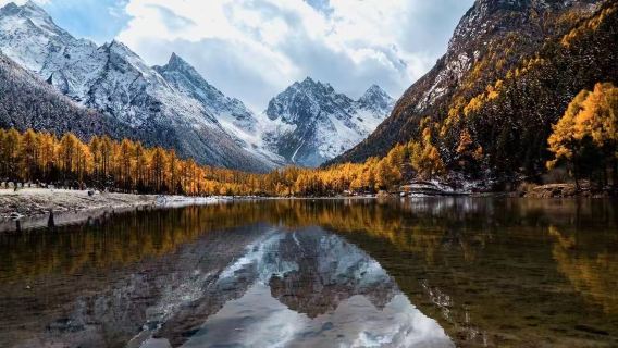 Departing from Chengdu: Panda Valley + Dujiangyan + Bipenggou [20hr]