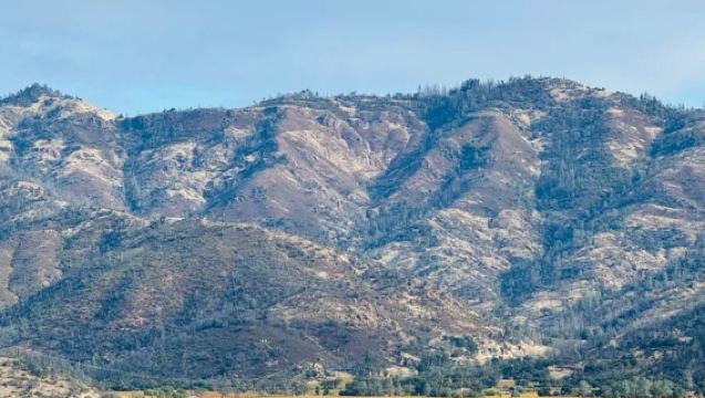 美國三藩市來回納帕谷 NAPA -經典酒莊品酒包車-精選