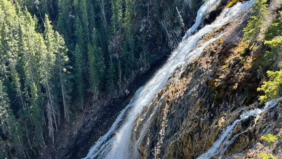 캐나다 캘거리 출발: 캔모어 당일 치기 여행 [픽업 서비스 & 일정 조정 가능]