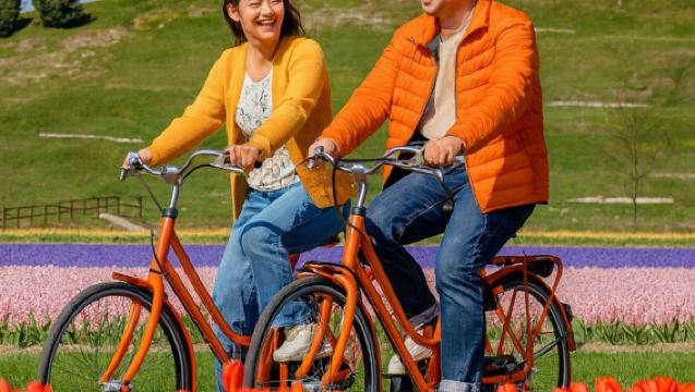 Da Amsterdam: Giro in bicicletta di mezza giornata tra i campi di tulipani + trasporto di andata e ritorno in pullman