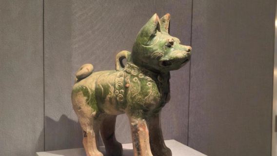 河南博物院2小時大咖講解+高清耳麥【可選門票預約/可選獨立包團】