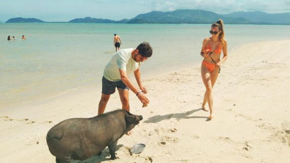 [เกาะสมุย] ทัวร์ครึ่งวันเกาะมัดสุมด้วยสปีดโบ๊ต | ดำน้ำตื้น | รวมอาหารกลางวัน·บริการรับส่งที่พัก