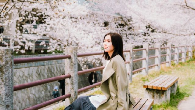 Ciliegi in fiore e meditazione zen, tour privato di mezza giornata alla scoperta della bellezza serena del Giappone [Partenza da Fukuoka]