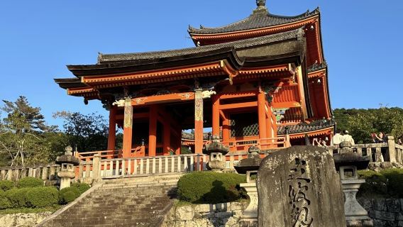 京都賞櫻：清水寺+二三年坂+伏見稻荷大社+金閣寺