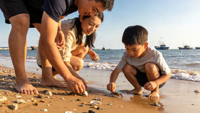 Beachcombing Park + Qingshan Fishing Village Day Trip [Group size 2-6 people / Beachcombing tools provided / Door-to-door pick-up and drop-off]