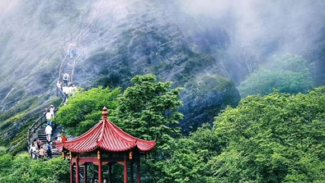 From Shangrao: 1-day tour to Wuyishan [Private charter | Chinese/English guide]