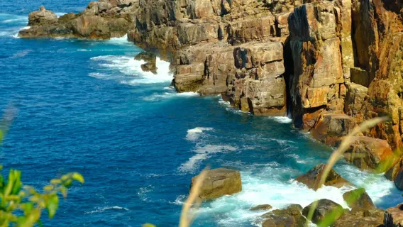 Small group of 9 | 1-day tour to Shirahama in Wakayama: Shirahama beach + Senjojiki & Sandanbeki cliffs + Engetsu Island