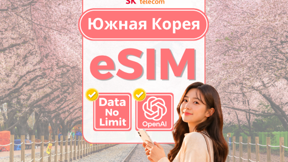 [Бесплатные T-money | Корейская eSIM] Корейская eSIM с высокоскоростным интернетом и звонками + бесплатный купон на скидку в Daiso