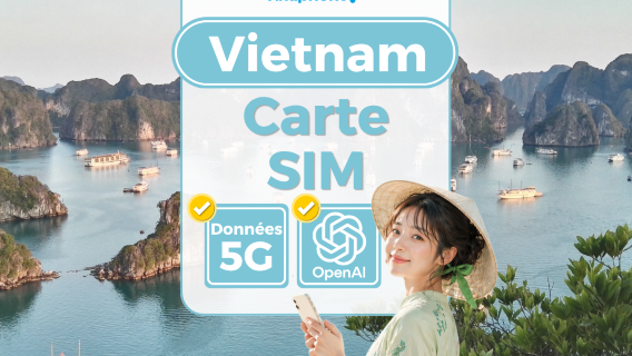 SIM Vinaphone Vietnam d'origine | Carte SIM 5G | Compatible avec ChatGPT | Plusieurs forfaits disponibles | Retrait aux aéroports de Ho Chi Minh/Hanoï/Da Nang | Calcul en jours calendaires