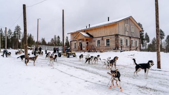 Running with the Pack, 5km Husky Ride and a Kennel Tour