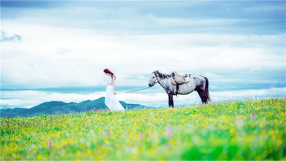 木蘭圍場+塞罕壩林海+烏蘭布統草原包車一日遊【門票全含】