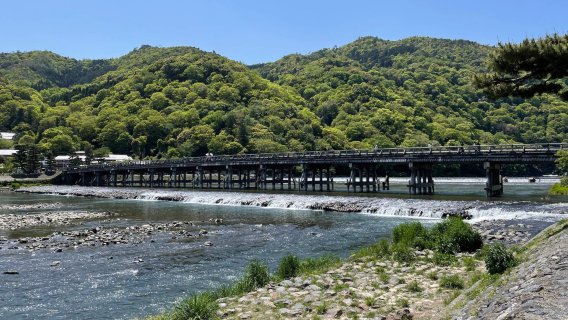 Passeio privativo em Osaka, Japão: Floresta 2D de Awaji + Palco dos Sonhos + Redemoinho de Naruto/Ponte do Estreito de Akashi
