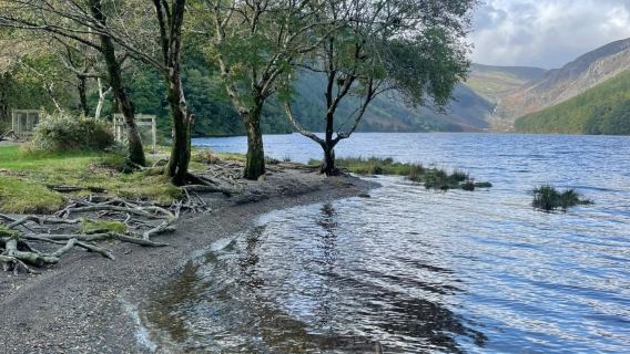 [Sewaan Peribadi Dublin Ireland] Pergunungan Wicklow + Rumah Agam Powerscourt (Tidak Termasuk Tiket Masuk)
