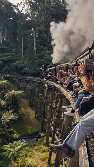 [Explore Australia]Puffing Billy Steam Train & Penguins Day Tour-from Melbourne