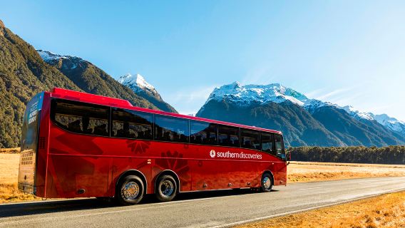 1-day tour to Milford Sound / Piopiotahi with Southern Discoveries in New Zealand [Round-trip from Queenstown/Te Anau]