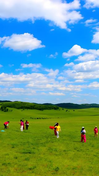 One-day private chartered tour of Chengde Mulan Paddock - Saihanba and Ulan Butong Grassland in Hebei, including admission tickets