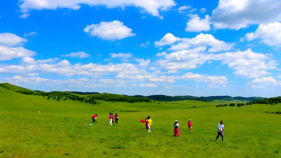 Eintägige private Tour mit inkludiertem Eintritt durch den Saihanba-Park und die Wulanbutong-Grassteppe in Chengde, Weichang, Hebei