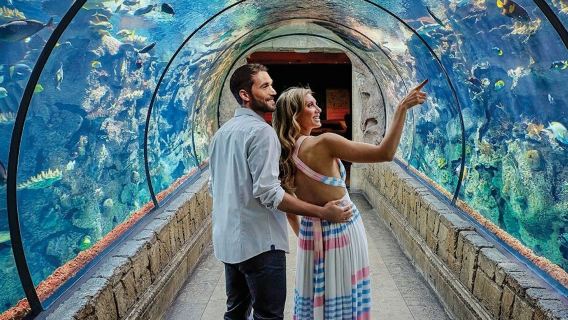 Acuario Shark Reef en Mandalay Bay: Entrada + Audioguía + Experiencia de Realidad Virtual