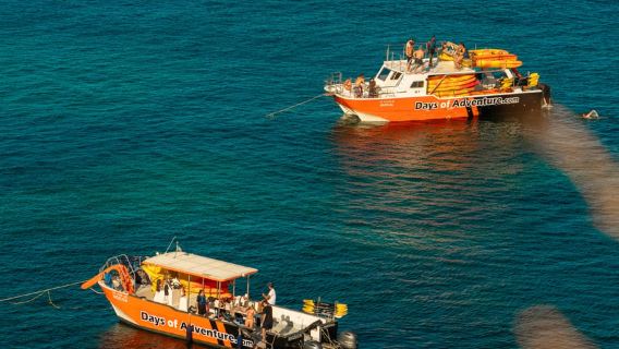 Lagos'tan: Tekneyle Ponta da Piedade Mağaraları Kano Turu