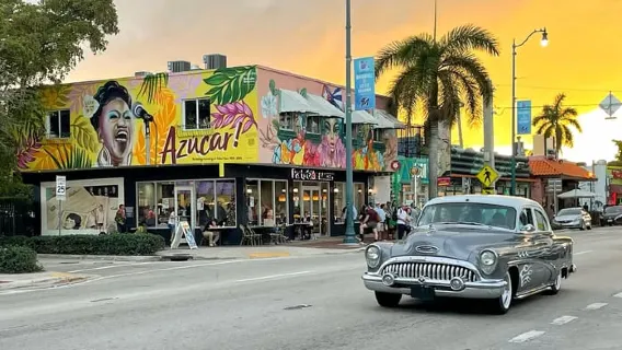 Miami: Tutto in uno: Tour panoramico della città e crociera a Millionaire Row
