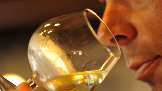 Burgundy wine tasting tour Half-Day Beaune from Dijon