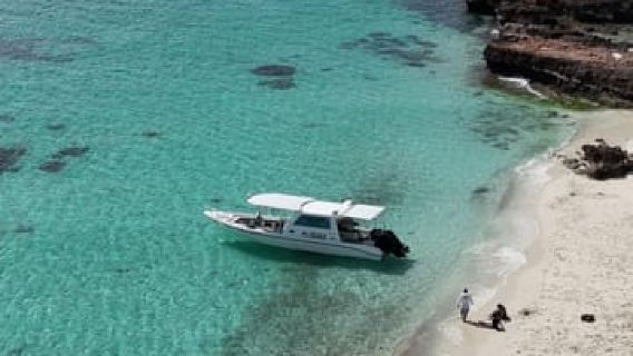Daymaniyat Snorkeling: Turtles, Whale & Blacktip Sharks+GoPro