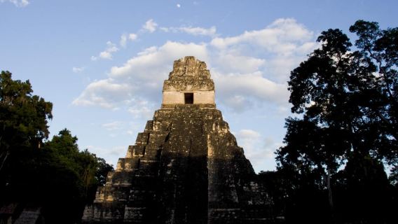 From Antigua Guatemala: Tikal Full-Day Tour by Air