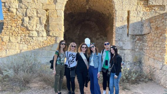 Cagliari City tour and Flamingos Park by minivan and walking