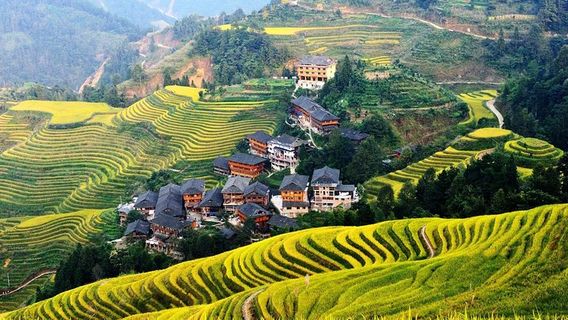 LongshengTours