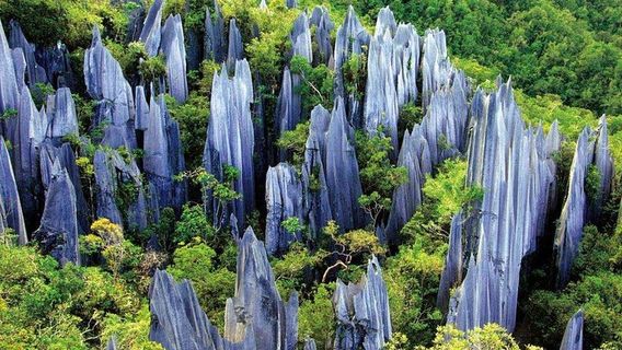 KunmingTours
