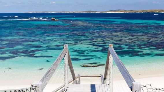 Rottnest IslandTours