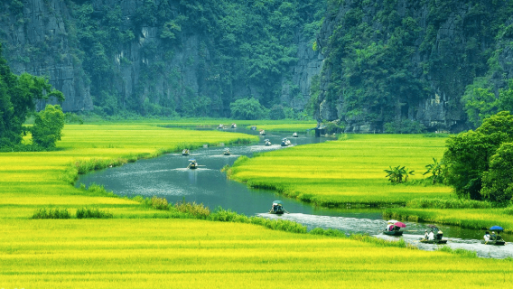 Ninh BìnhTour Trong Ngày