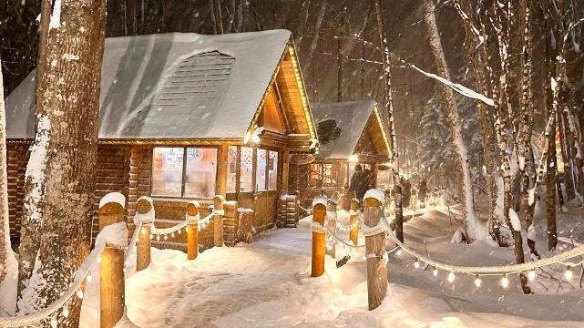 one-day trip to Asahikawa Zoo.