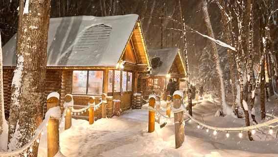 Hokkaido Asahiyama Zoo + Elf Terrace + Four Seasons Color Hill Snowmobile|Snowfield 1-day tour