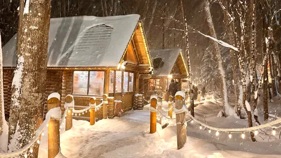 Zoológico Asahiyama de Hokkaido + Terraza de los Elfos + Motonieve Four Seasons Color Hill|excursión de un día a Snowfield