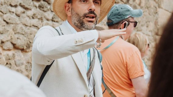 Pompeii & Herculaneum: Tiket Jalur Cepat + Tur Terpandu