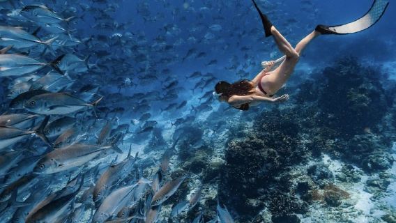 새로 오픈 - 카팔라이 시스터즈 ~ 셈포르나 펄 아일랜드 워터 하우스 리조트 - 퀄리티 초이스