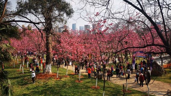 thuê xe riêng riêng Côn Minh: tour 1 ngày Núi Nguyên Đồng và Làng dân tộc Vân Nam với hướng dẫn viên tiếng Trung và tiếng Anh tùy chọn