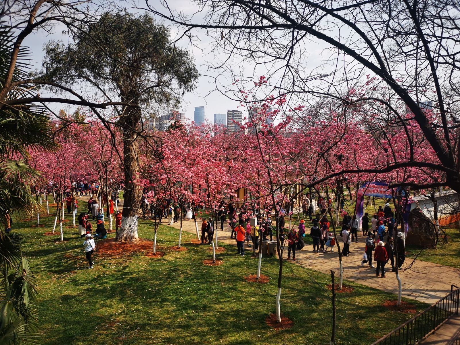 Kunming Customized Private Charter: Yuantong Mountain + Yunnan Nationalities Village Day Tour (Optional Chinese/English Guide)