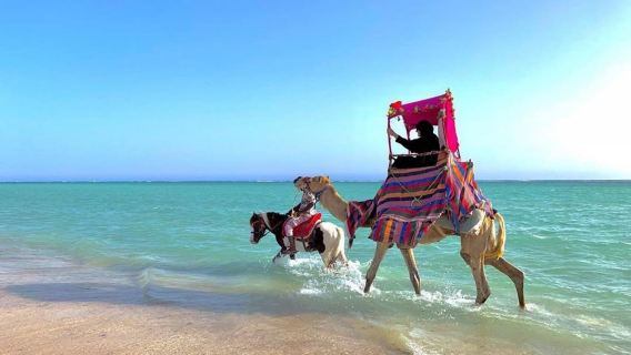 Full Day Obhur & Beach from Jeddah