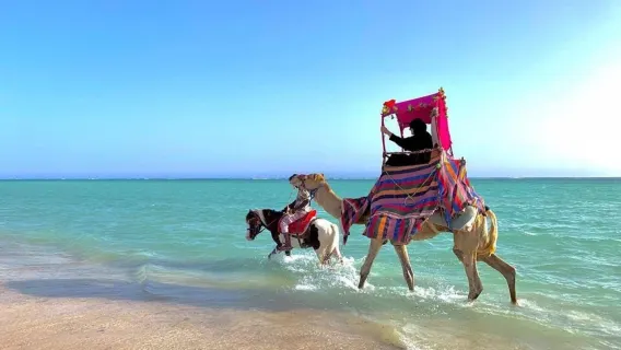 Full Day Obhur & Beach from Jeddah