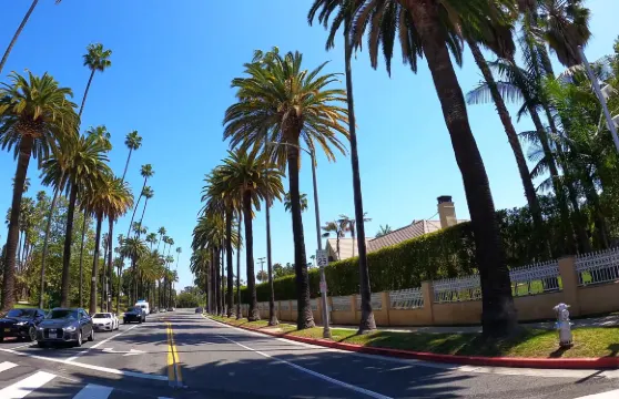 洛杉磯市區包車一日遊【走進天使之城-城市探索之旅】