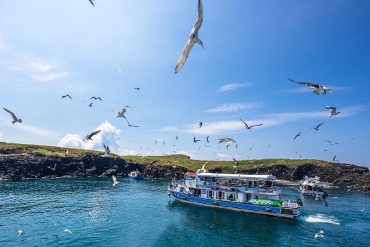 澎湖跳島｜東海跳島一日遊 （珊瑚礁釣魚浮潛＆欣賞海鷗覓食＆海上獨木舟）