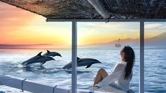 Tour VIP di un giorno a Bali Lovina per avvistare i delfini con opzioni di noleggio barca privata, snorkeling o pesca