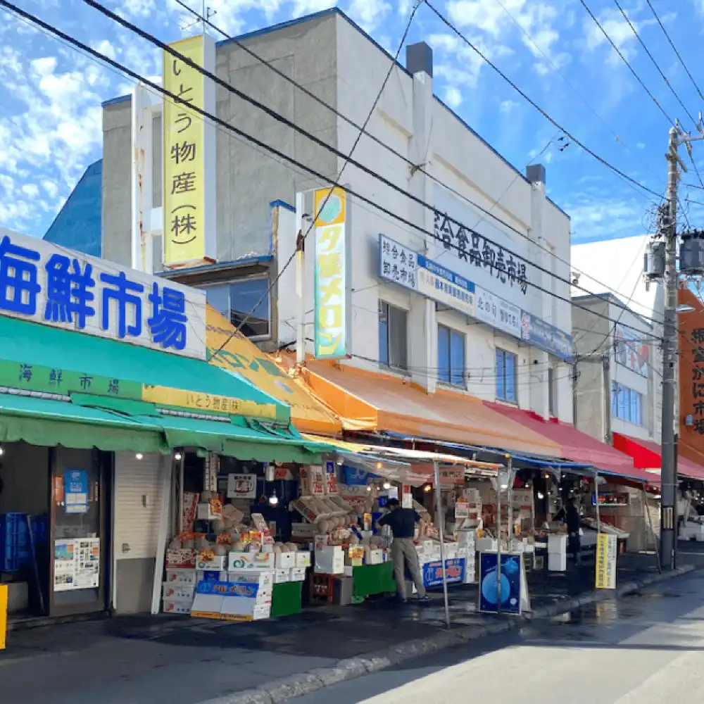 Sapporo 1-day tour: Hokkaido Jingu + Jozankei Onsen + Shiroi