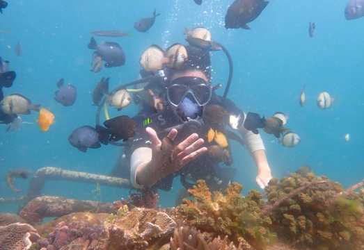 IndonesiaBaliBaruna Watersport+Nusa DuaDiscover divingscuba diving0.5 hours [Beginner]