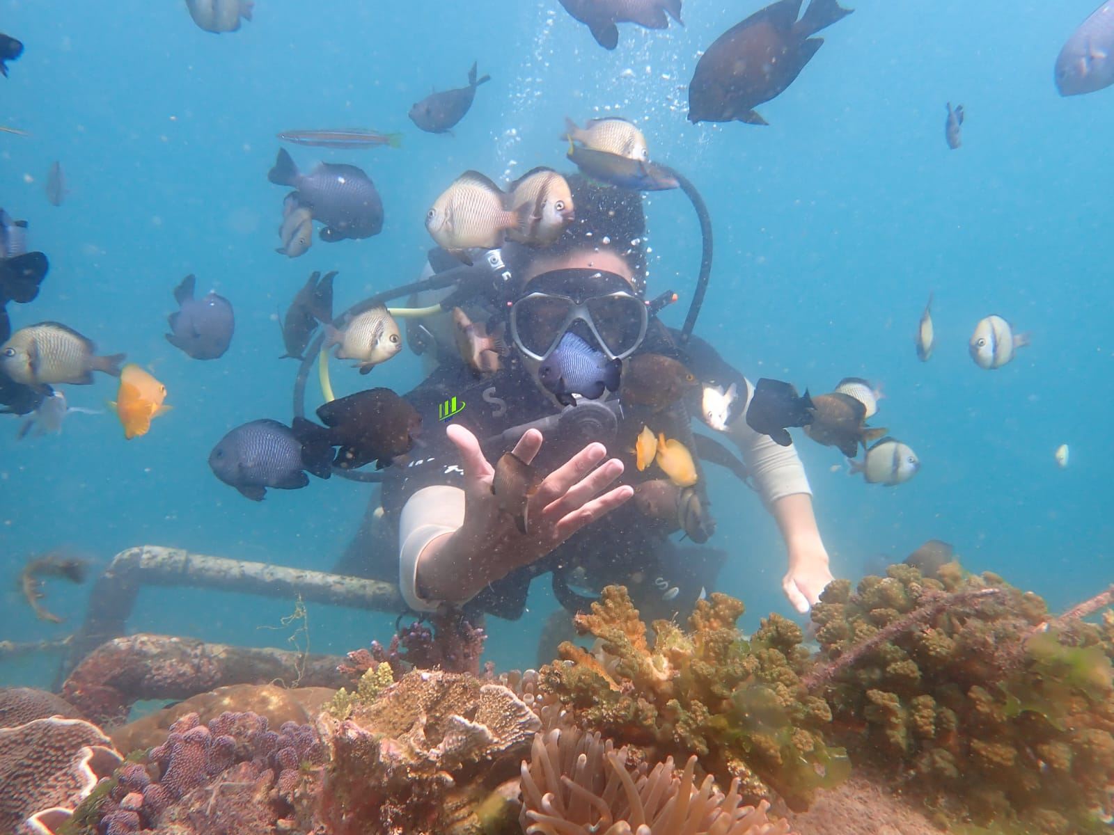 IndonesiaBaliBaruna Watersport+Nusa DuaDiscover divingscuba diving0.5 hours [Beginner]