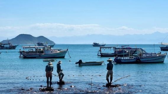 From Rio de Janeiro: Tour discovers Búzios in Buggy