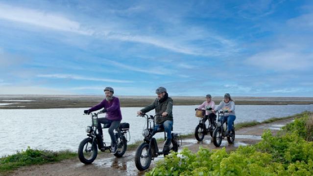 New Forest: E-Bike Pedal & Puzzle Escape Adventure