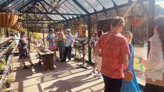 Waiheke Island: Scenic Island Wine Tour & Local Wine Tasting